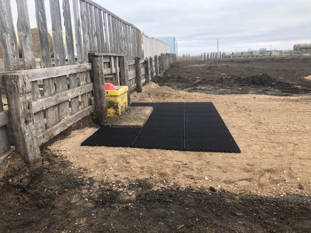 Diamond Grid Installation Process