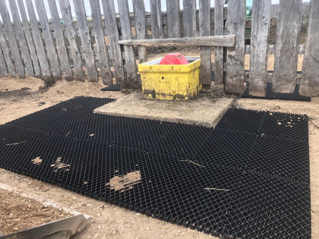 Diamond Grid Installation Process